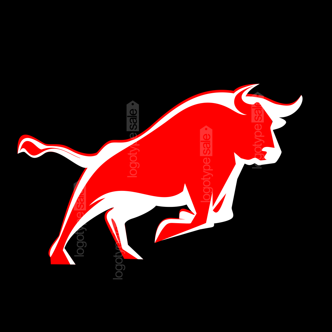 Power Bull Logo